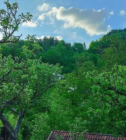 Apartma B & O Appartamento