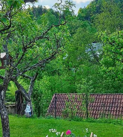 Apartma B & O דירה *