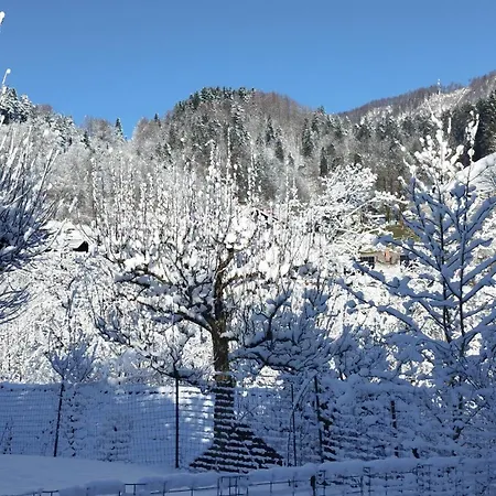 Apartma B & O Apartment