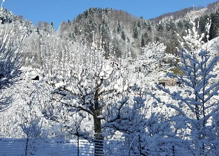 Apartma B & O Apartment